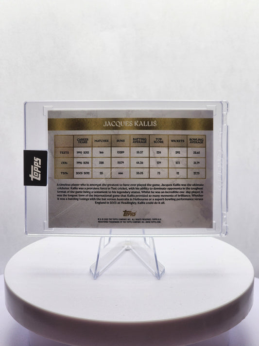 Jacques Kallis 23/25