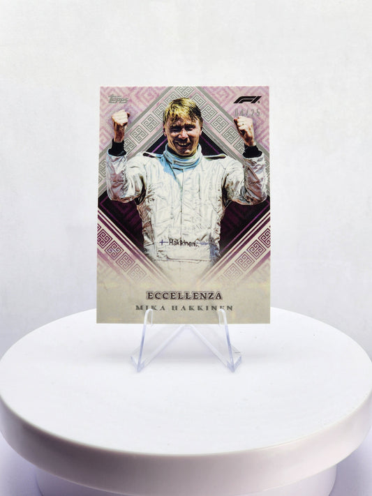 Mika Hakkinen Veterano 04/25