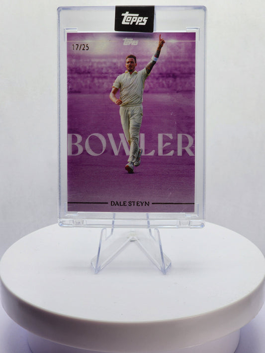 Dale Steyn 17/25