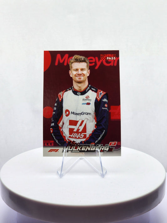 Nico Hulkenberg - Red Portrait #15
