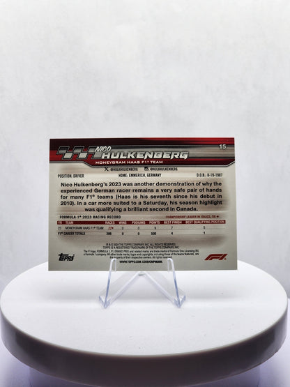 Nico Hulkenberg - Portrait #15