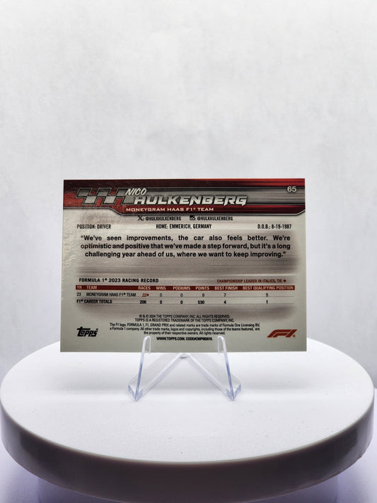 Nico Hulkenberg - Portrait #65