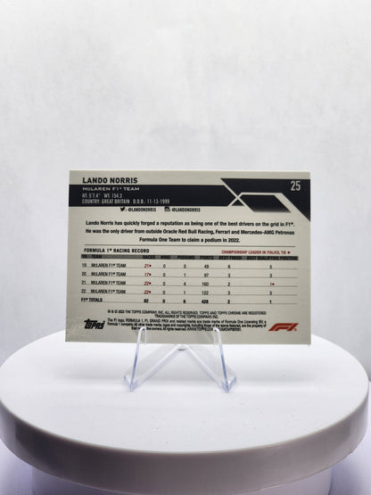 Lando Norris Portrait - B&W Checker