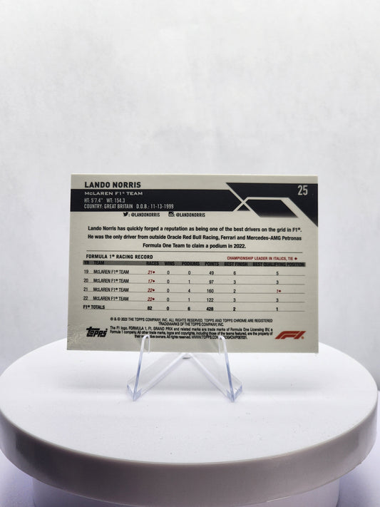 Lando Norris Portrait - B&W Checker