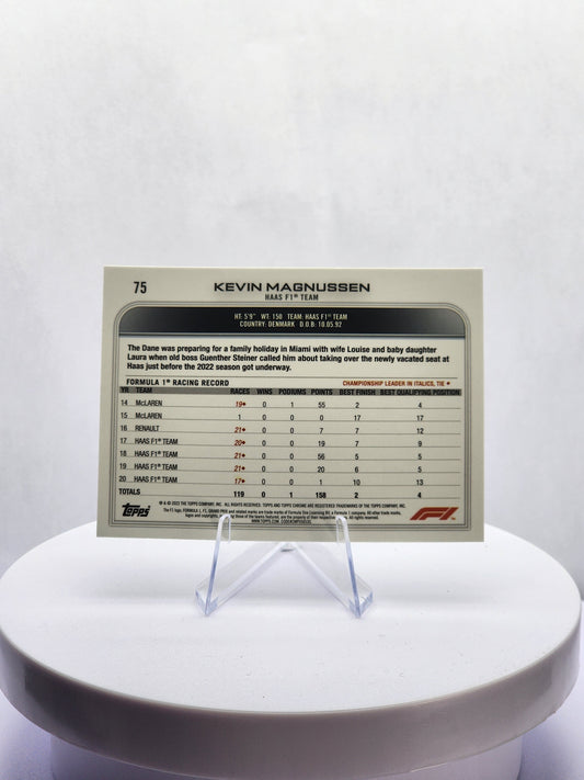 Kevin Magnussen - Portrait