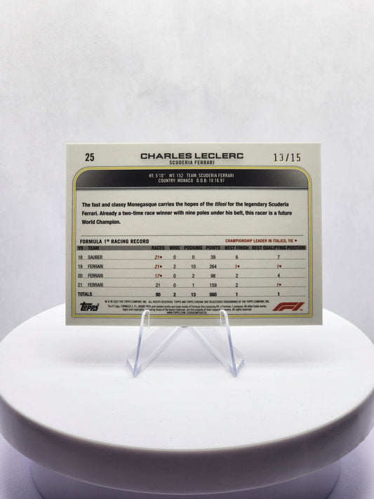 Charles Leclerc Portrait Black & White 13/15